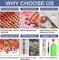 5D Christmas Diamond Art Kits for Adults, Santa Claus Diamond Painting Kits for Beginners, DIY Full Drill Gem Art Crystal Rhinestone for Wall Home Decor 14X14inch